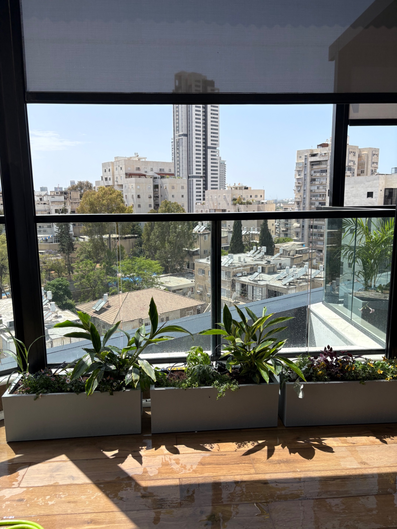 מרפסת אורבנית עם אדניות קו וצמחייה עשירה