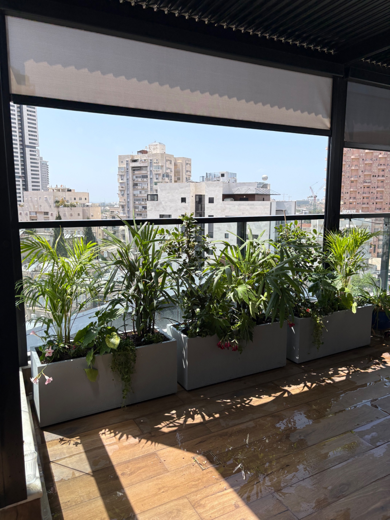 אדניות מעוצבות במרפסת גג עם נוף עירוני